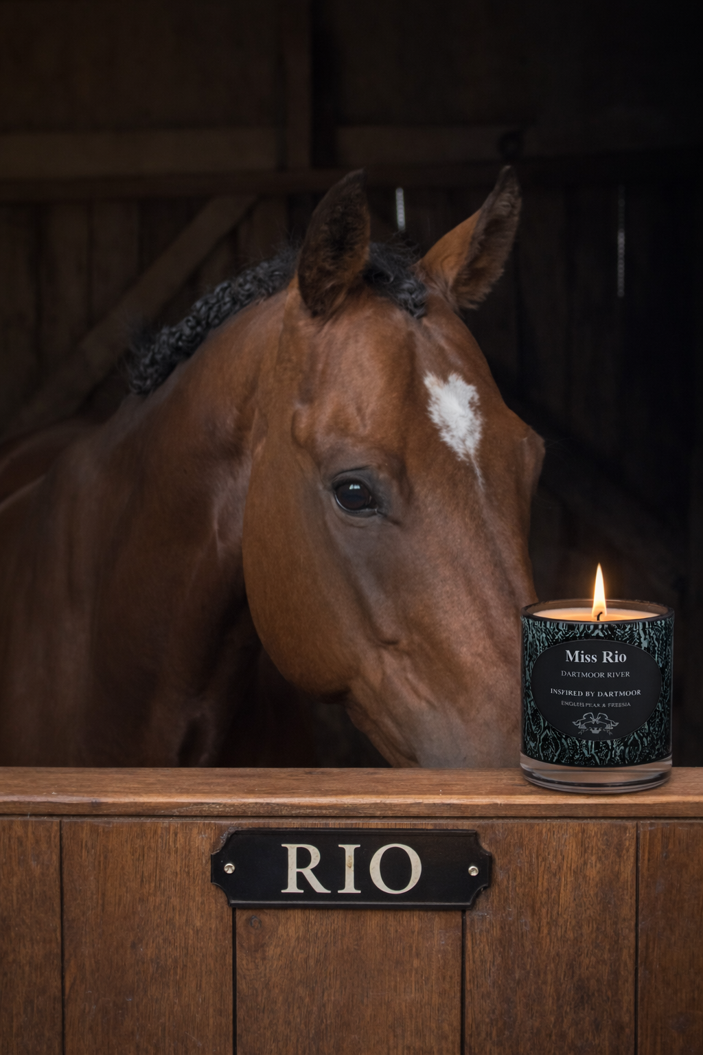 Miss Rio candle burning in tribute beside Rio’s stable nameplate , honouring  the horse who inspired the brand. 