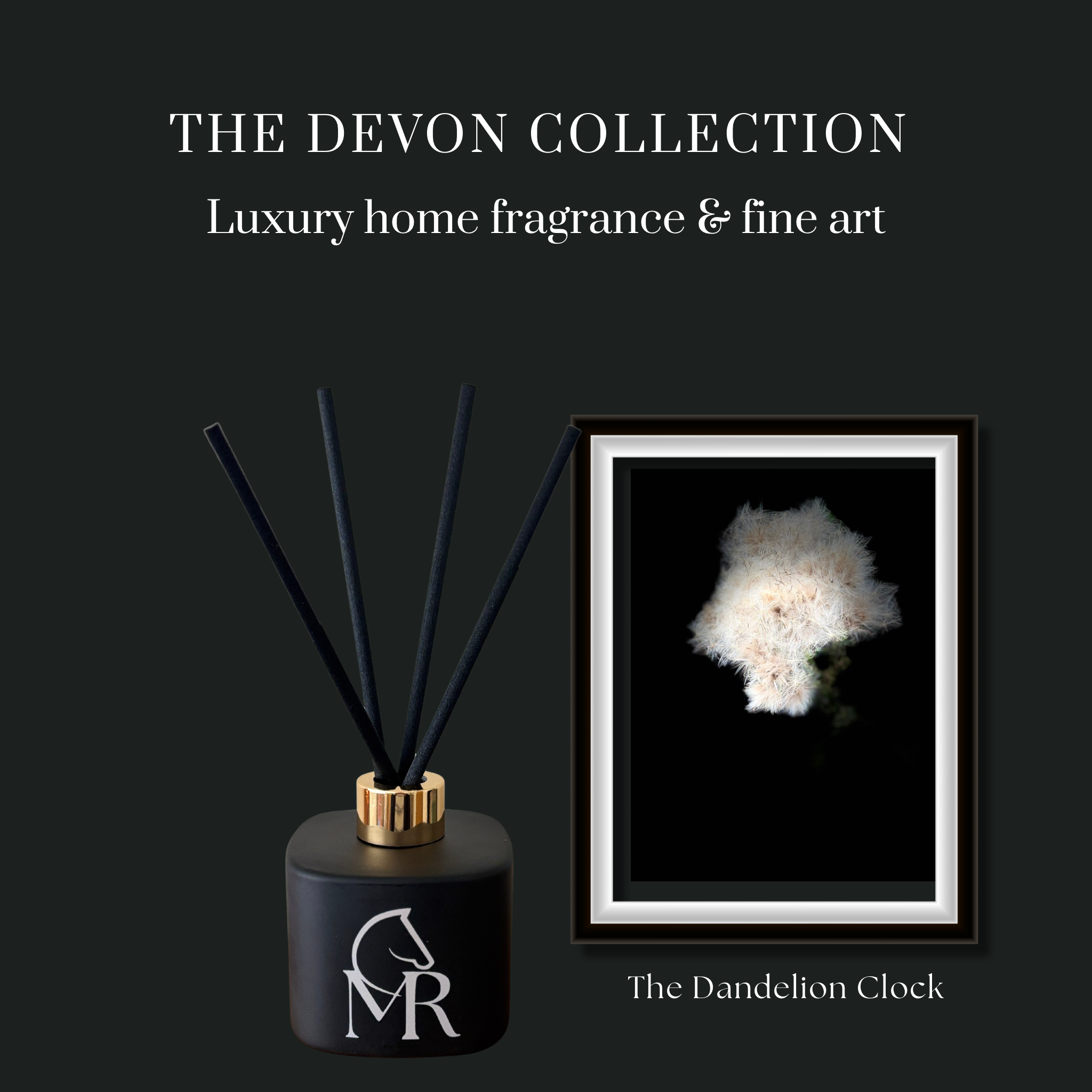 The Devon Collection by Miss Rio — The Dandelion Clock Gift Set. A black matte luxury reed diffuser with gold collar alongside a framed fine art print of The Dandelion Clock against a dark green background. Luxury home fragrance and fine art, hand-crafted in Devon. missrio.co.uk