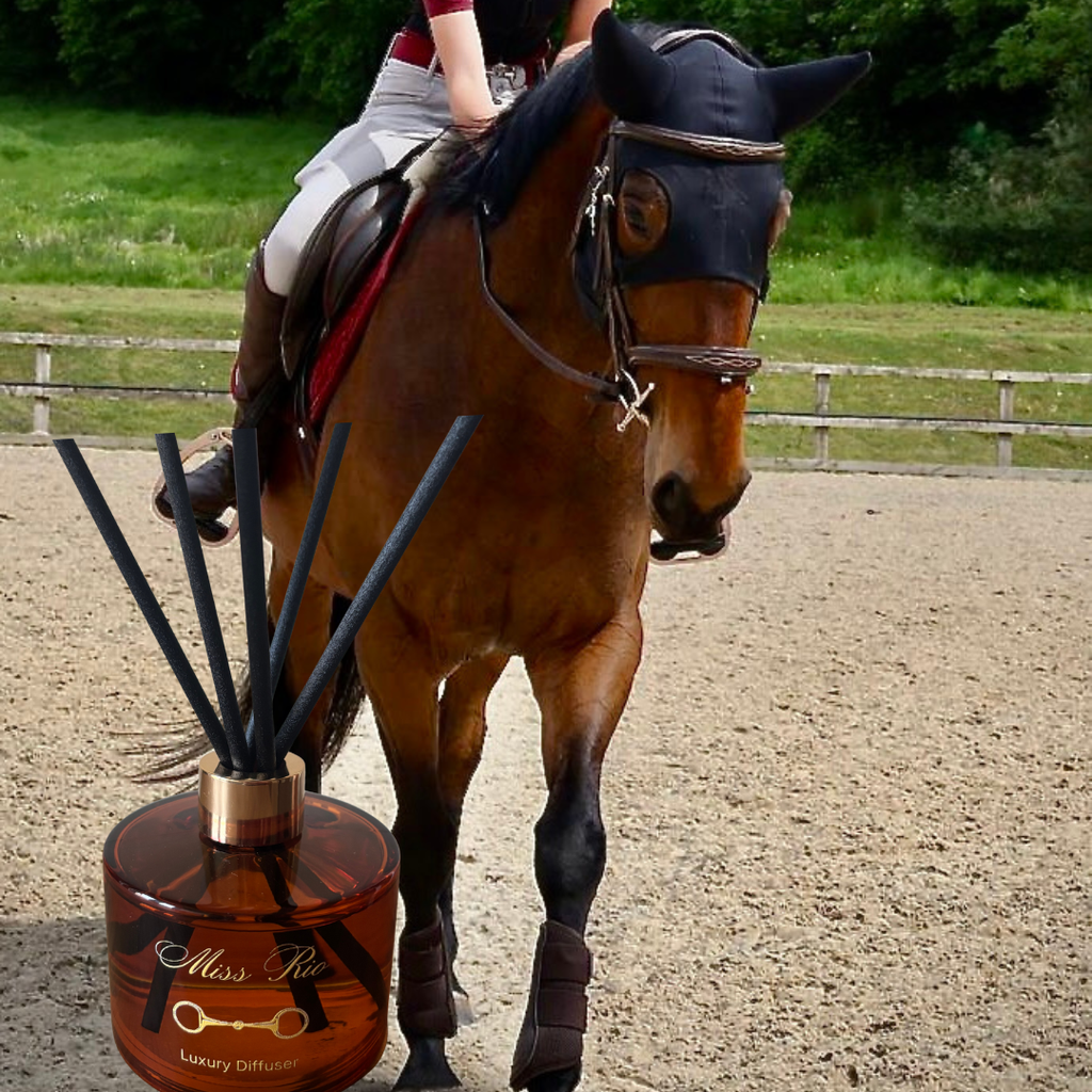 Horse walking in an arena with a diffuser labeled 'Miss Ro' in the foreground.