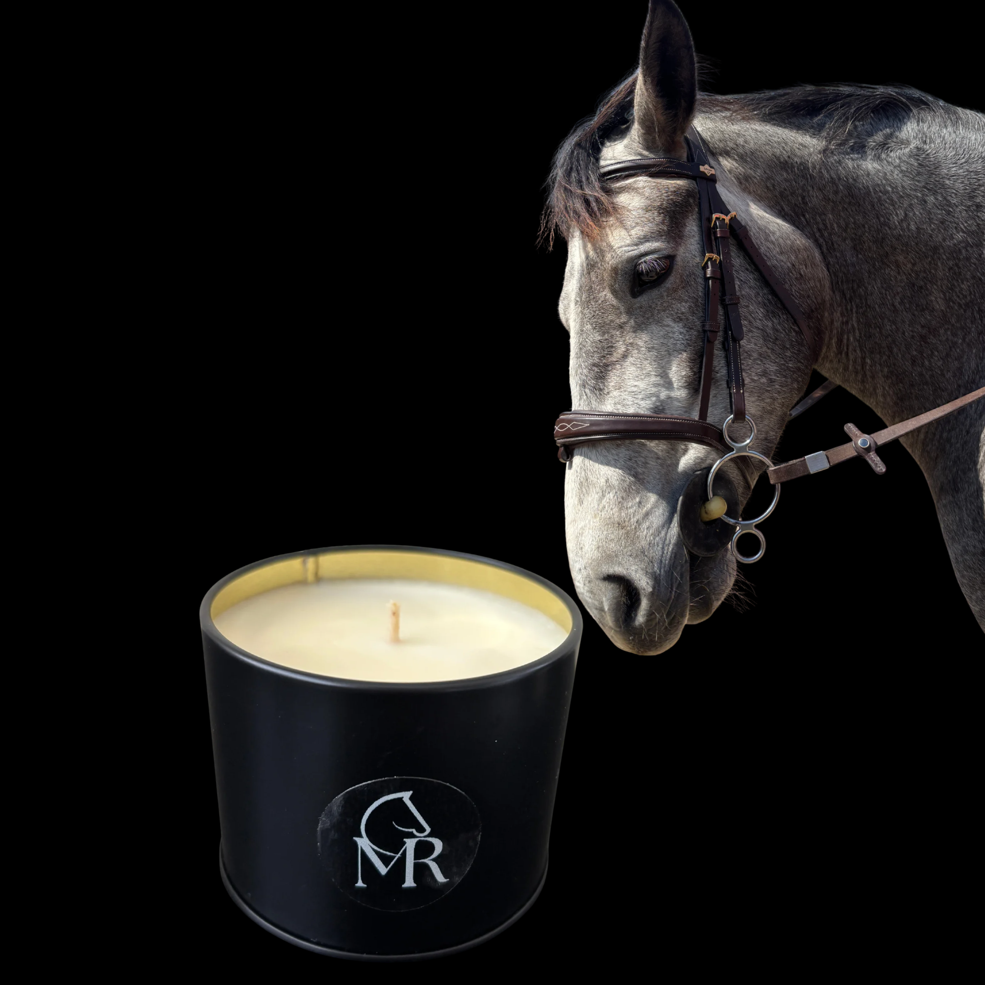 Miss Rio English Pear & Freesia luxury soy candle beside a grey horse, inspired by Dartmoor and equestrian heritage.