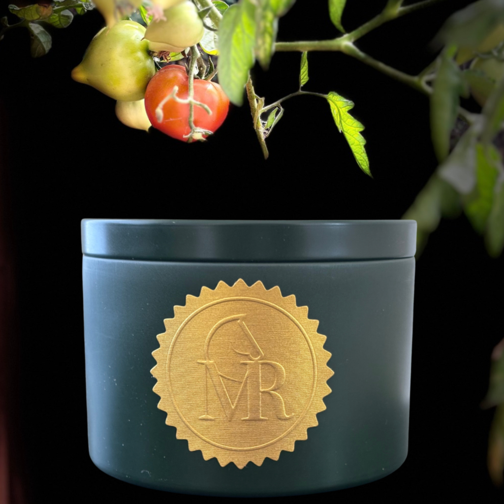 Miss Rio Tomato Vine candle in a dark green tin with a gold horse seal, photographed with ripe tomatoes and green tomato leaves