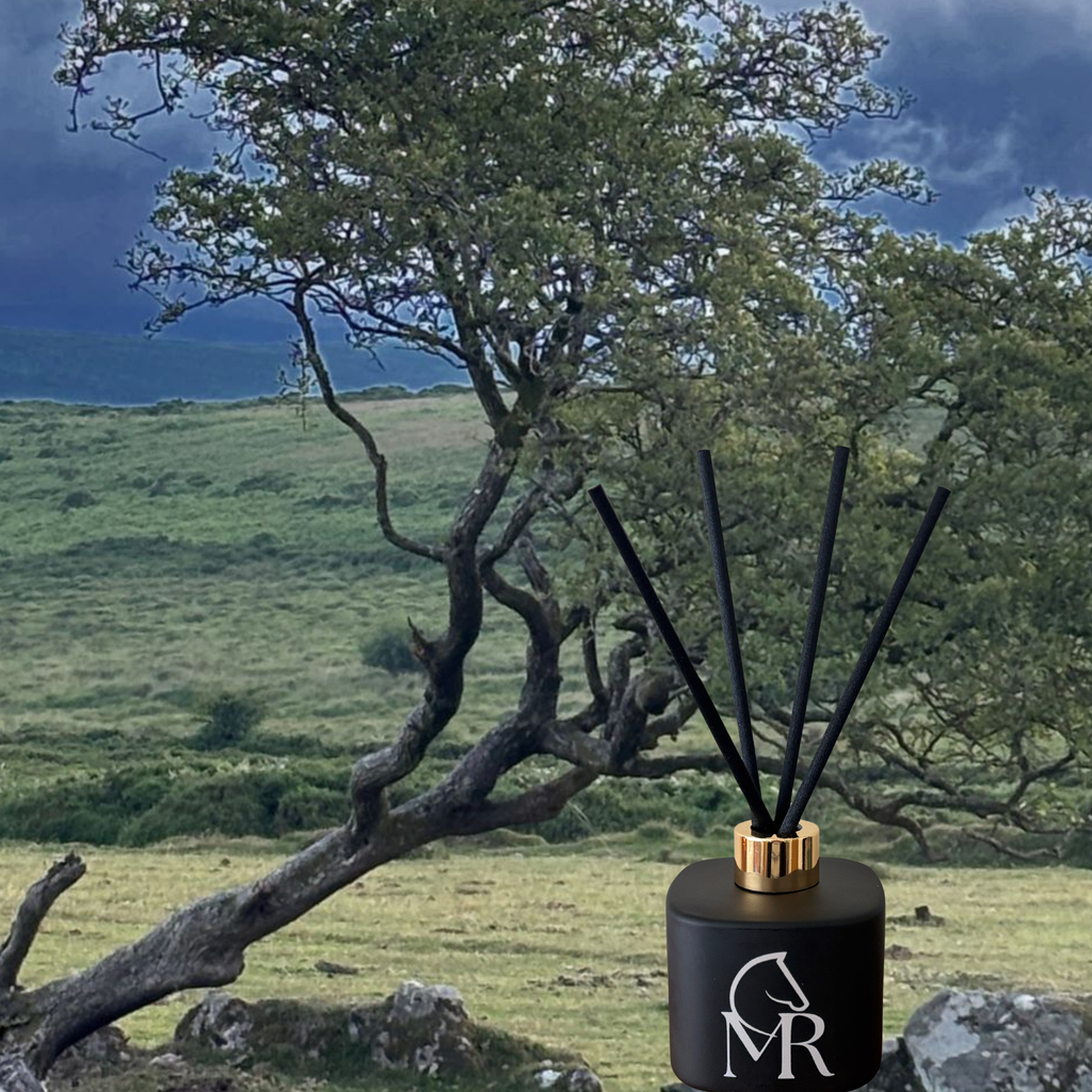 Miss Rio luxury reed diffuser in matte black with gold collar and black reeds, photographed on Dartmoor against ancient windswept trees and dramatic sky