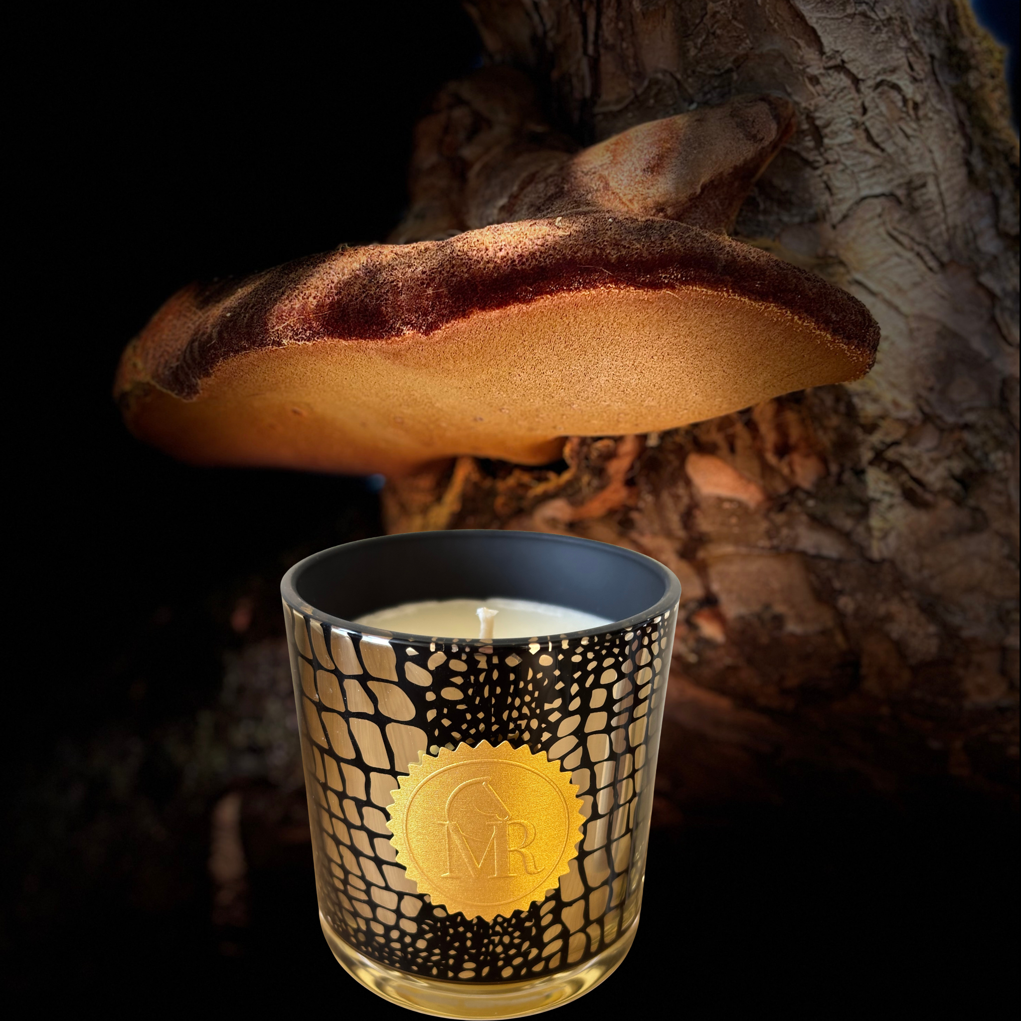 Miss Rio English Pear & Freesia luxury scented candle in a black and gold patterned glass jar, photographed beside a natural tree with a glowing woodland mushroom in the background.